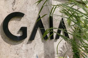 eb8646da-9dbf-4311-b4a5-385816589209